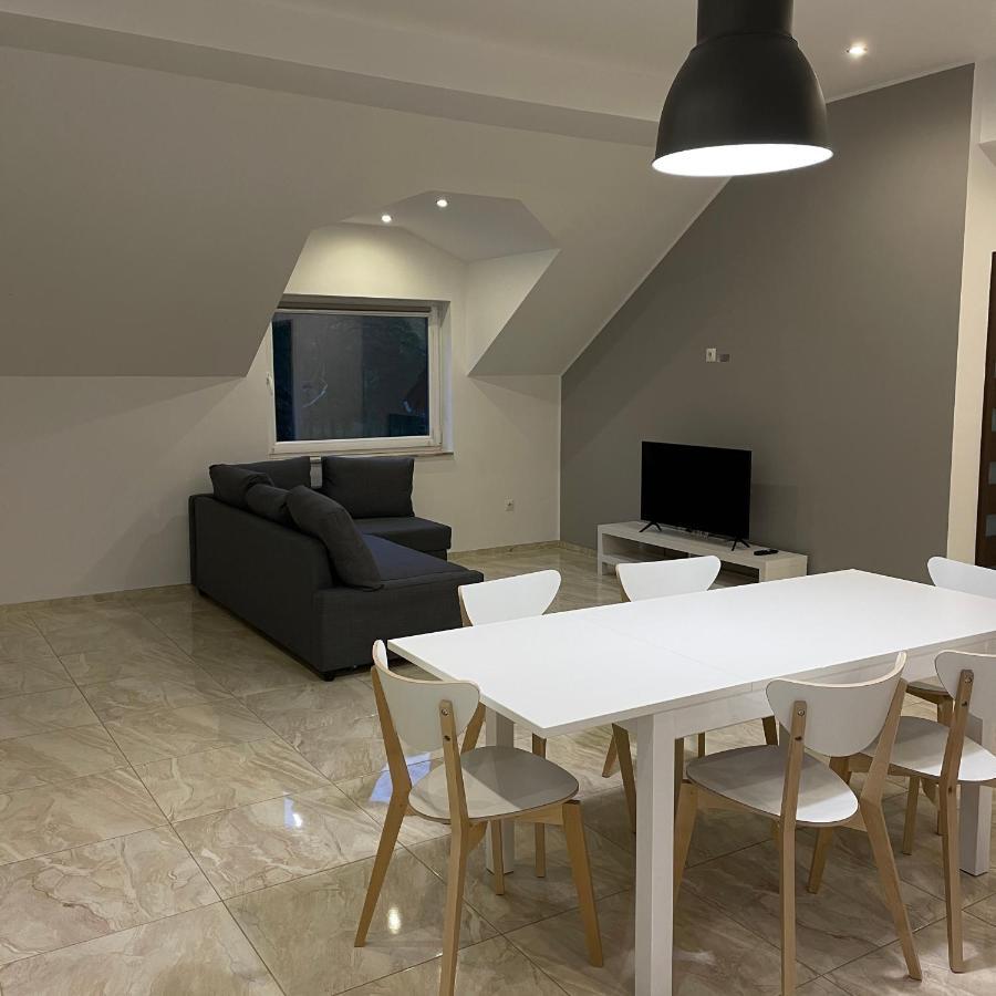 Przestronny Apartment